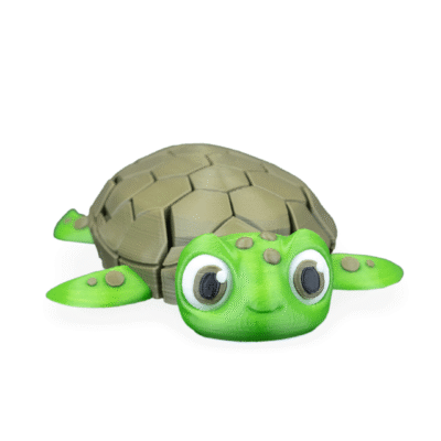 Myrtle, the Turtle