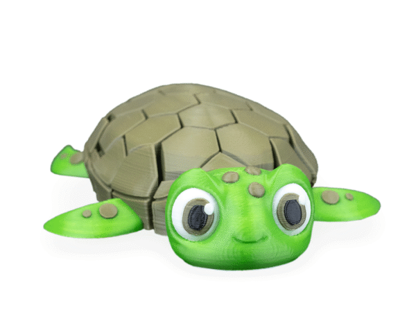 Myrtle, the Turtle