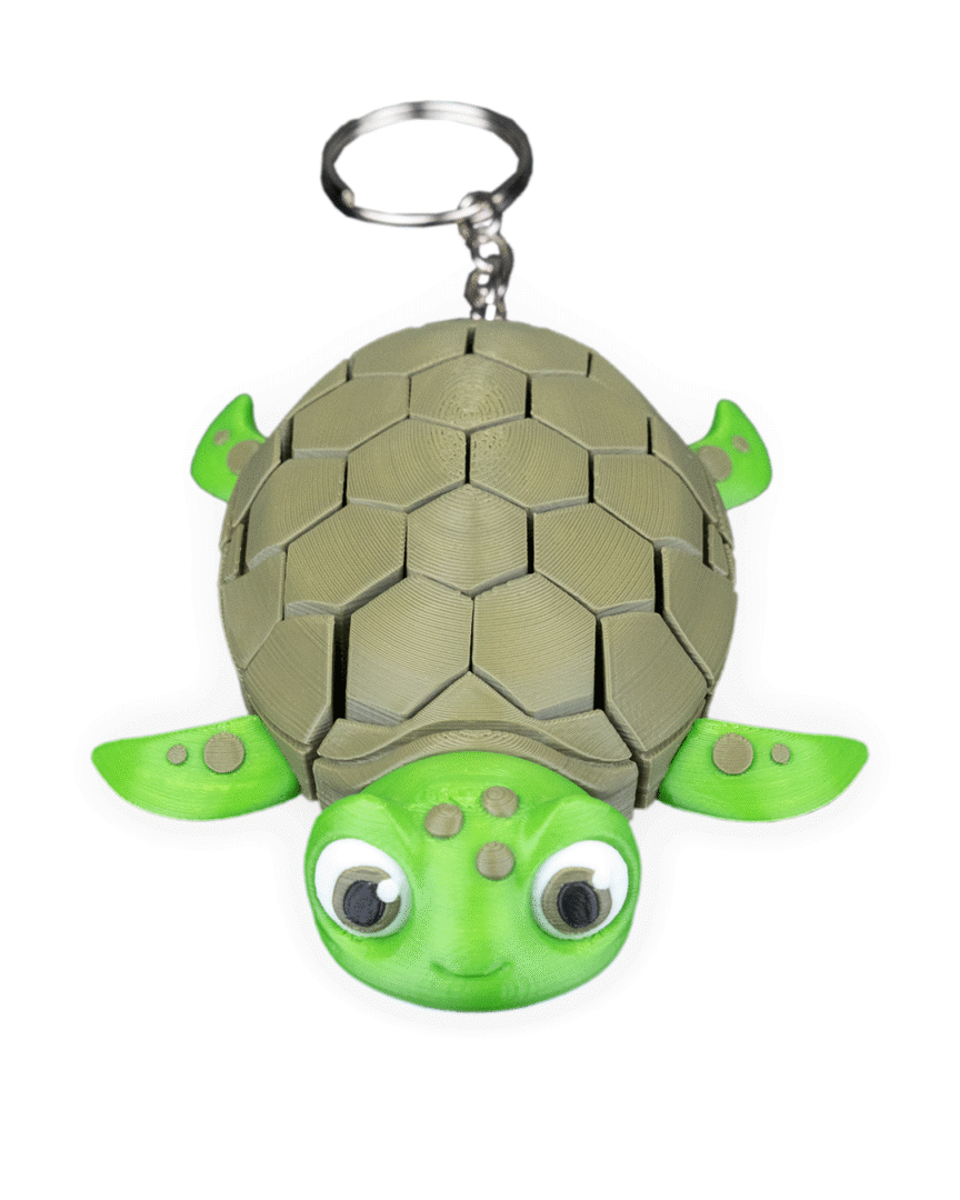 Myrtle, the Turtle