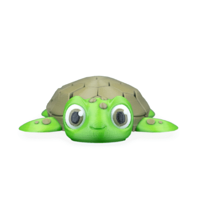 Myrtle, the Turtle