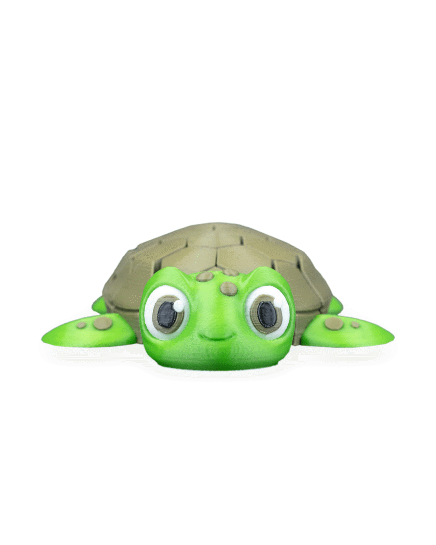 Myrtle, the Turtle