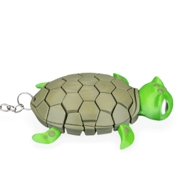 Myrtle, the Turtle