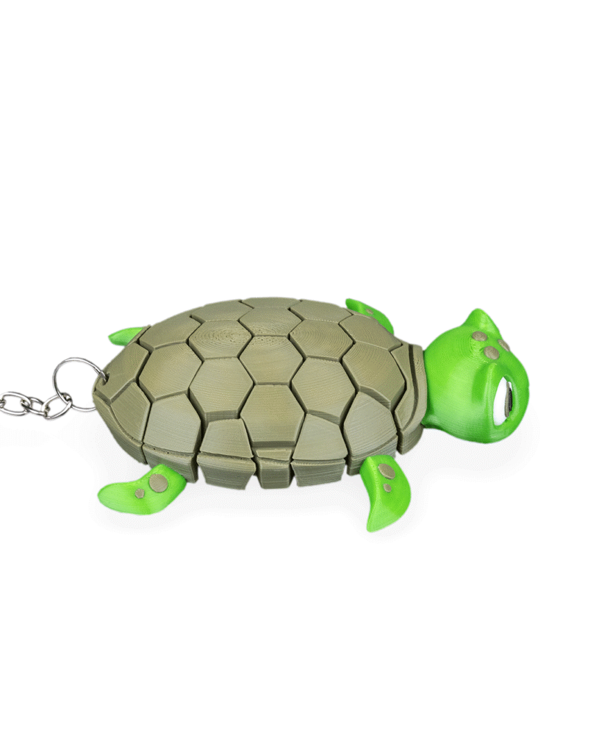 Myrtle, the Turtle