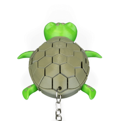 Myrtle, the Turtle