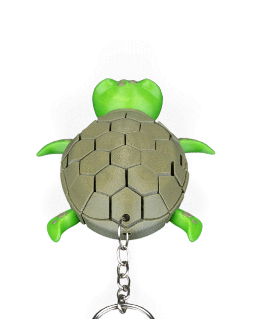 Myrtle, the Turtle
